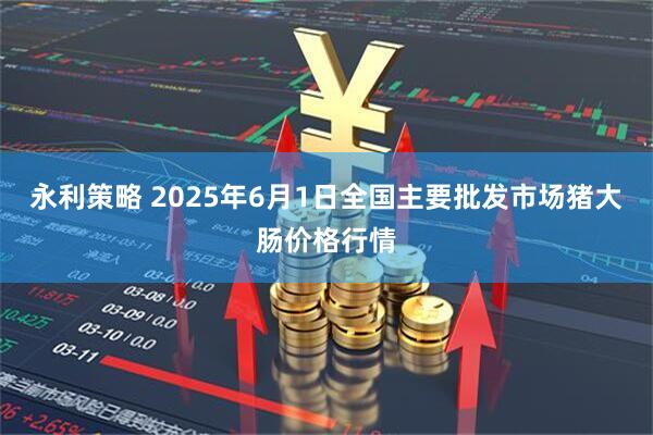 永利策略 2025年6月1日全国主要批发市场猪大肠价格行情