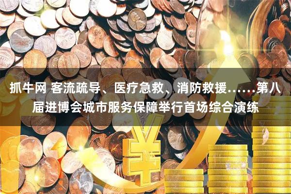 抓牛网 客流疏导、医疗急救、消防救援……第八届进博会城市服务保障举行首场综合演练