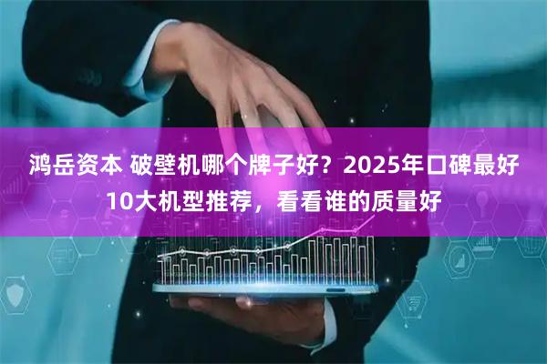 鸿岳资本 破壁机哪个牌子好?2025年口碑最好10大机型推荐,看看谁的质量好