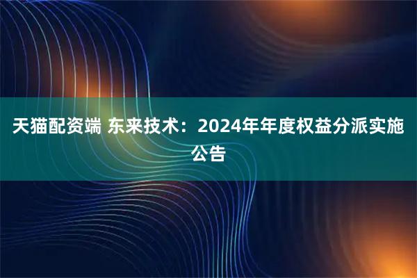天猫配资端 东来技术：2024年年度权益分派实施公告