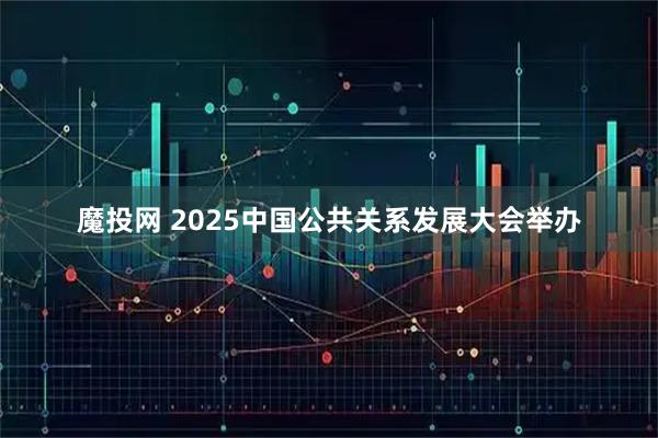 魔投网 2025中国公共关系发展大会举办