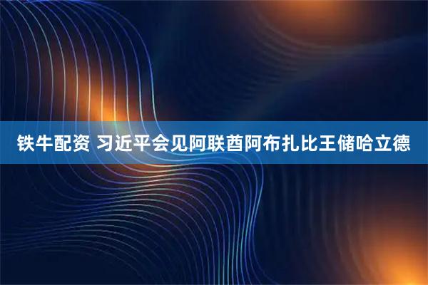铁牛配资 习近平会见阿联酋阿布扎比王储哈立德