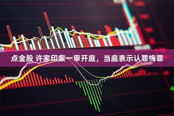 点金股 许家印案一审开庭，当庭表示认罪悔罪